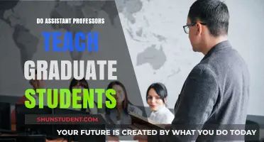 Do Assistant Professors Teach Graduate Students? Exploring Academic Roles