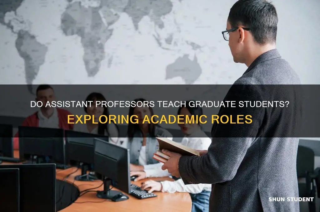 do assistant professors teach graduate students