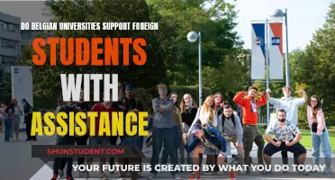 Belgian Universities: Support for Foreign Students