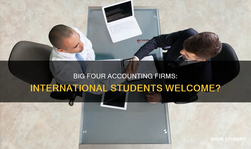 do big 4 accounting company hire international student