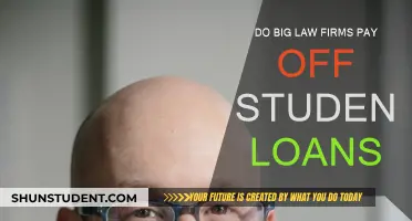 Big Law Debt: Student Loans and Repayment