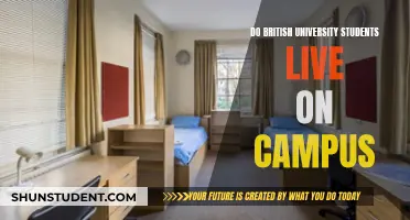 Campus Living: A British University Student's Experience