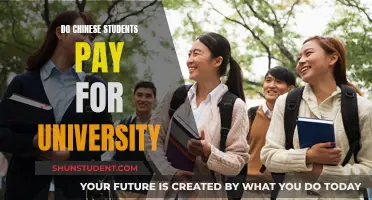 The Cost of University Education for Chinese Students