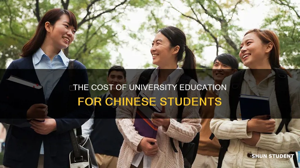 do chinese students pay for university