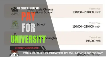 Chinese Students: Paying for University Education