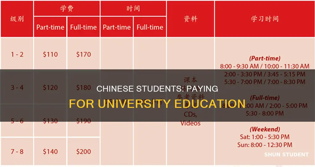 do chinese students pay for university