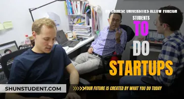 Foreign Student Startups: Chinese University Policies Explored