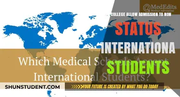 Can International Students Without Legal Status Study in College?