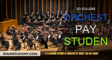 College Orchestras: Paid or Unpaid Passion?