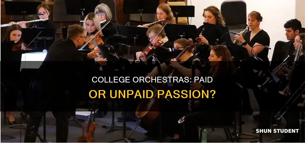 do college orchestras pay students
