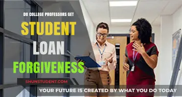 Can College Professors Qualify for Student Loan Forgiveness Programs?