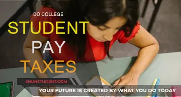 College Students and Taxes: Who Pays?