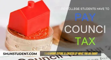 Council Tax Exemptions for College Students: Who Pays?