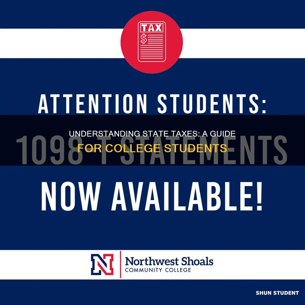 do college students have to pay state taxes