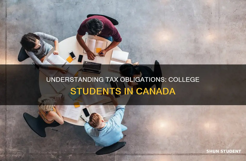 do college students need to pay taxes in canada
