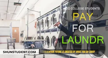 Laundry Costs: A Student's Dilemma