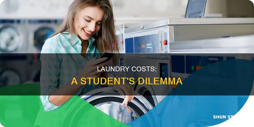 do college students pay for laundry