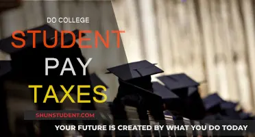 College Students and Taxes: What You Need to Know