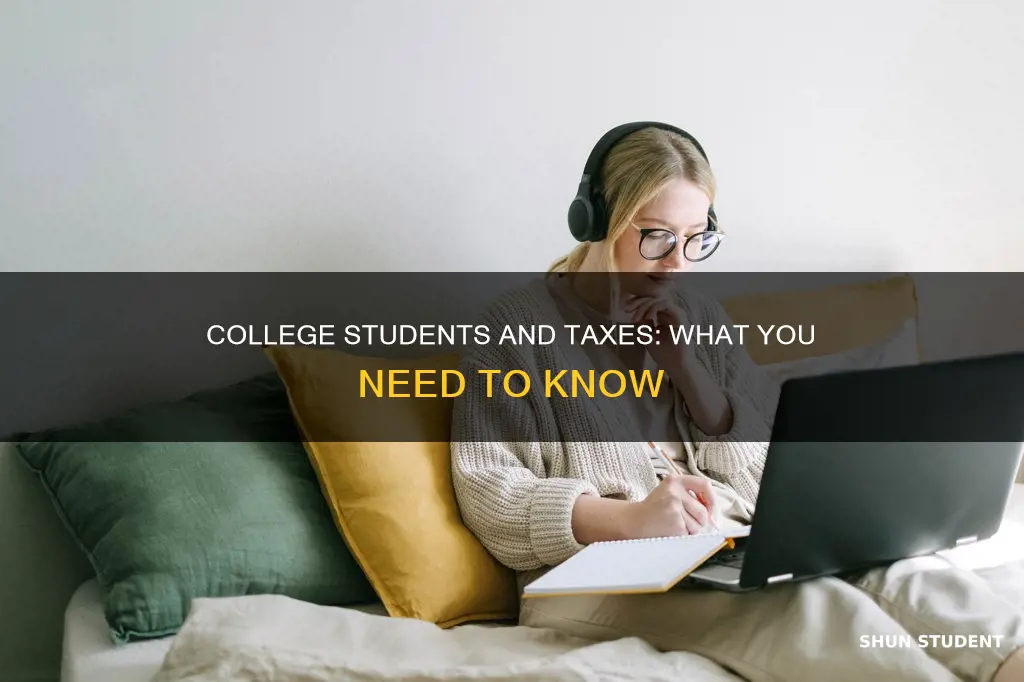 do college students pay taxes