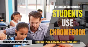 Chromebooks: College and University Students' Choice?