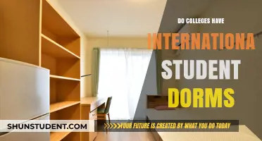 International Student Housing: College Dorm Options
