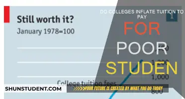Who Benefits from Tuition Inflation in Colleges?