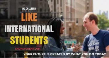 International Students: A Boon for Colleges?