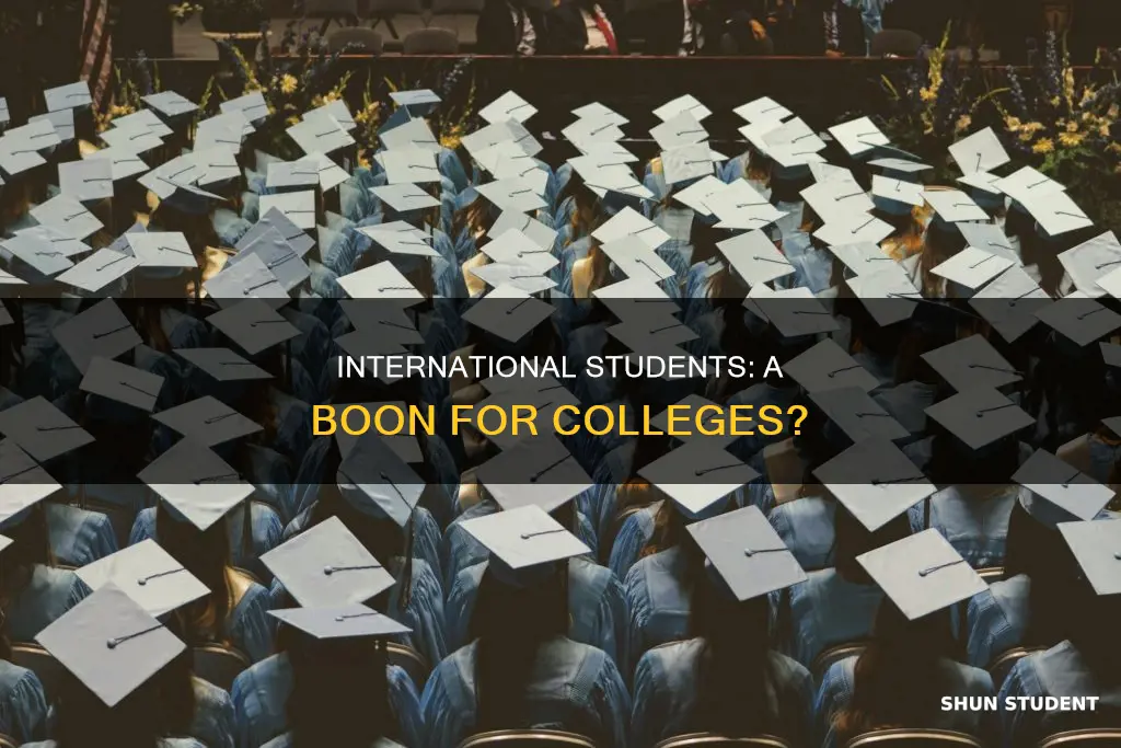 do colleges like international students