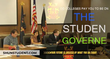 Student Government: Are There Any Monetary Benefits?