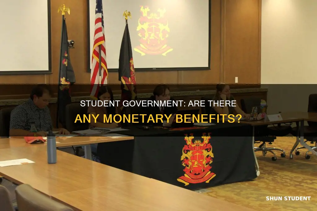 do colleges pay you to be on the student governemnt