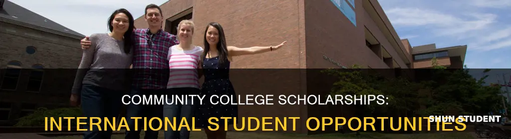 do community colleges give scholarships to international students