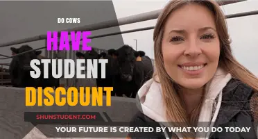 Do Cows Qualify for Student Discounts? Unraveling the Myth