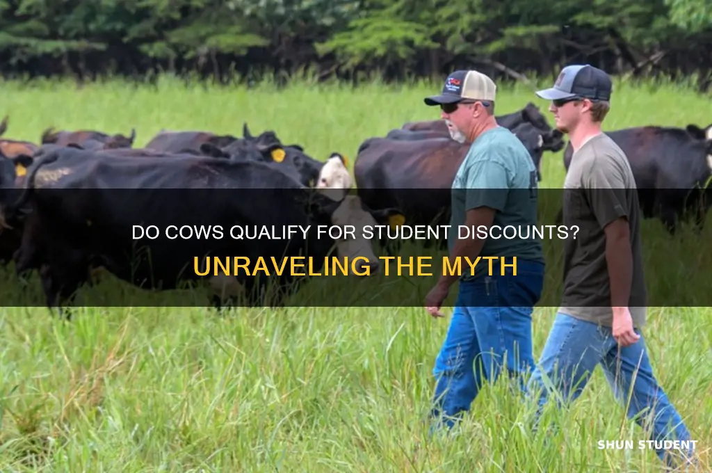 do cows have student discount