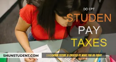CPT Students: Do They Need to Pay Taxes?