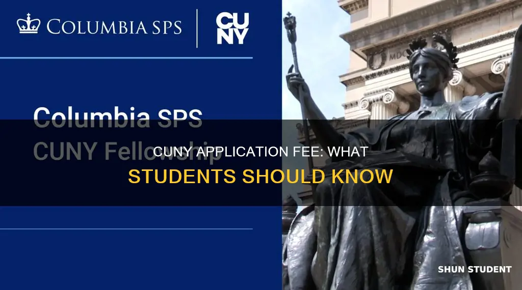 do cuny students pay application fee