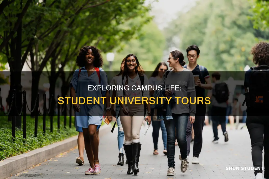do current college students tour universities