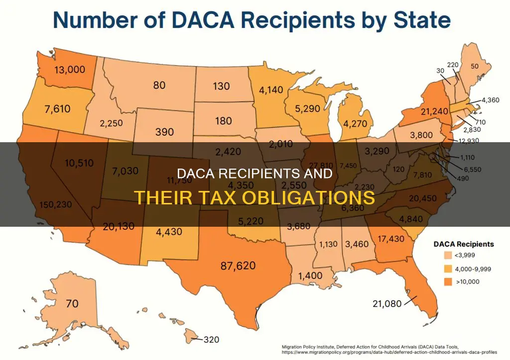 do daca students pay taxes