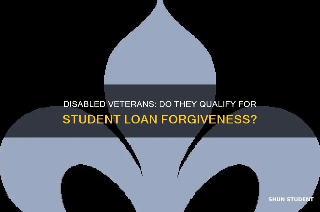 do disabled vets already get student loan forgiveness
