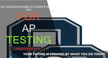 Ohio AP Tests: Who Pays the Price?