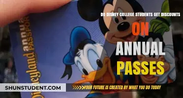 Disney Annual Passes: College Program Discounts and Savings Explained