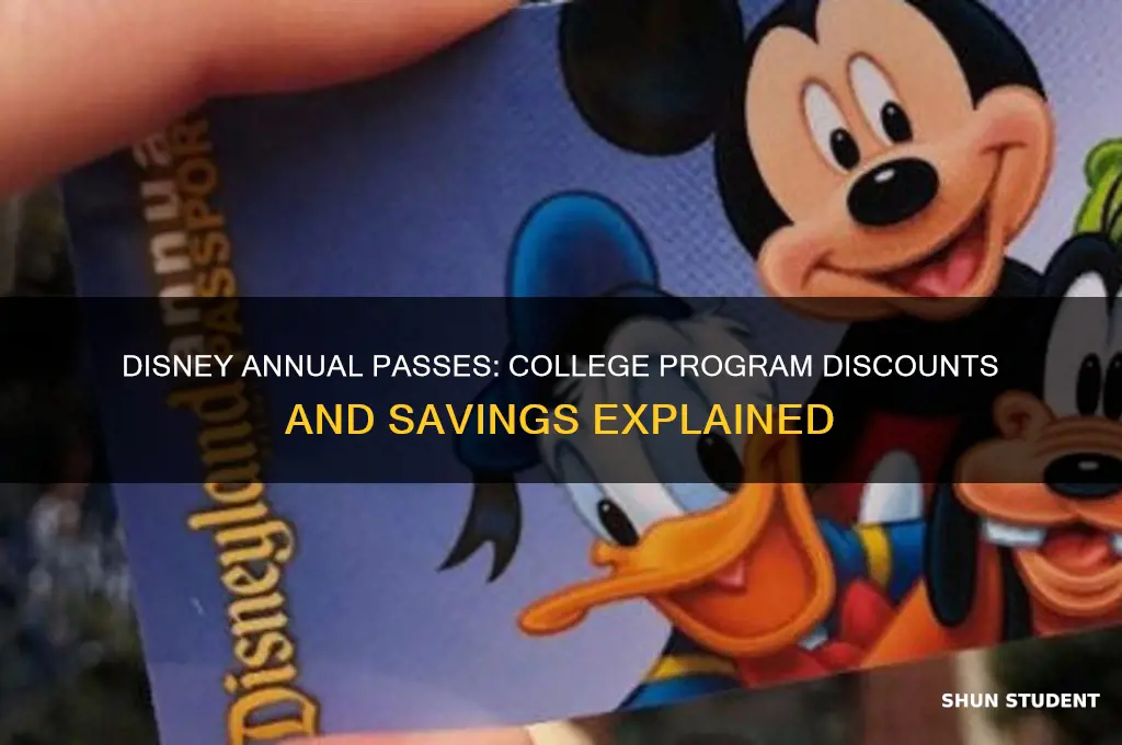 do disney college students get discounts on annual passes