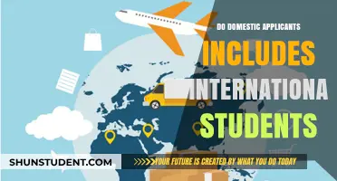 Domestic Applicants: Do International Students Fit In?