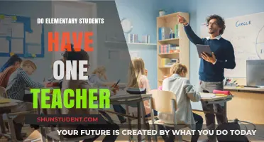 One Teacher for All: Elementary Classroom Structure Explained