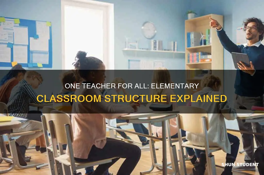do elementary students have one teacher