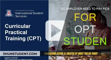 Understanding FICA Tax Obligations for OPT Students
