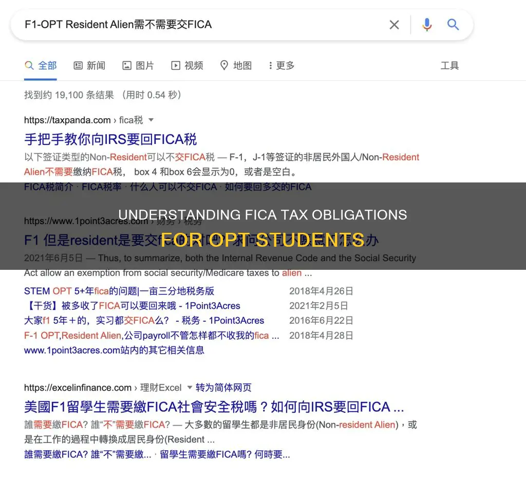 do employer need to pay fica for opt student