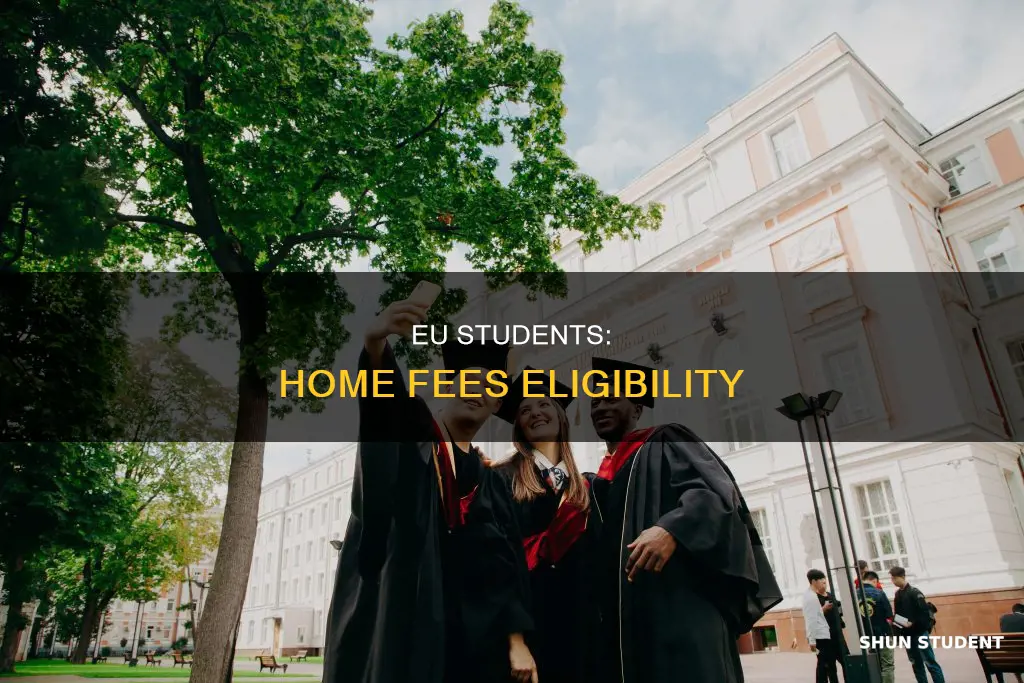 do eu students pay home fees