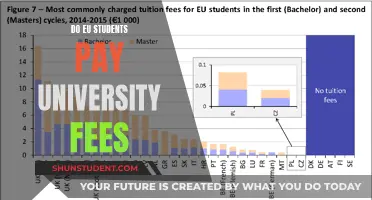 EU Students: University Fees and Funding Explained