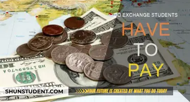 Exchange Students: Who Pays the Price?