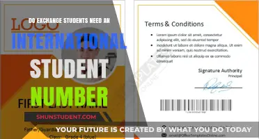 Understanding International Student Numbers: Exchange Students' Guide